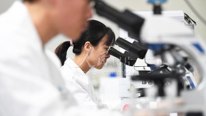 CDMO公司选择：揭秘医药研发背后的关键因素