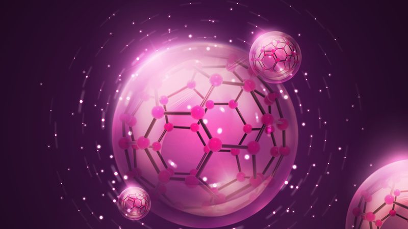 鼠抗人单克隆抗体纯度规格，揭秘其背后的关键指标**