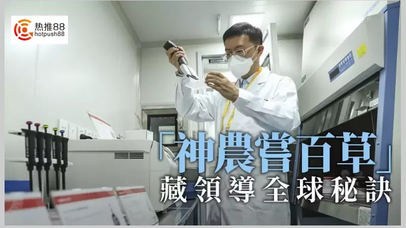 揭秘创新药CDMO工艺开发流程：关键步骤与要点解析