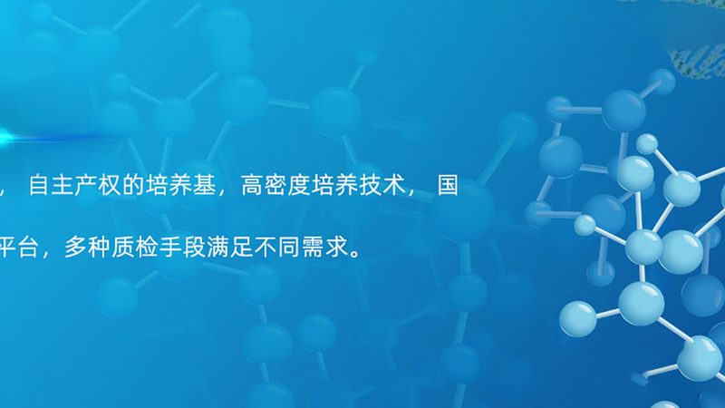CRo与A/B测试：价格背后的差异化考量