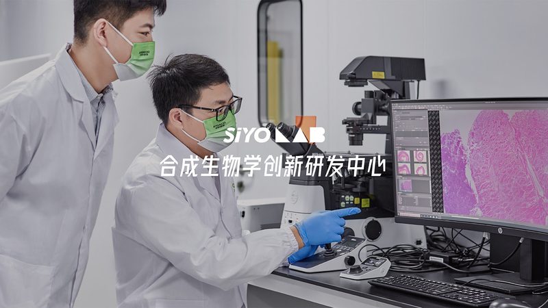 上海生物CDMO公司：揭秘定制研发背后的秘密