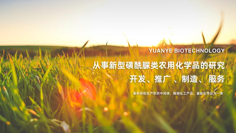 生物药CDMO技术平台：揭秘其背后的秘密与价值
