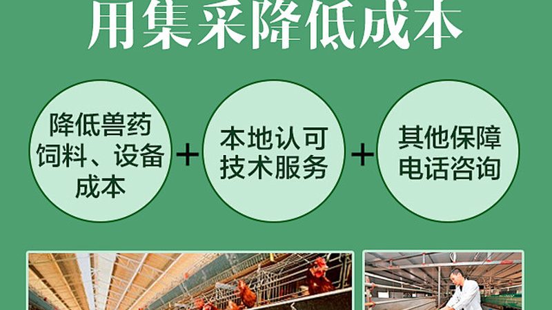 原料药CDMO定制价格：揭秘定制化服务的价值与考量