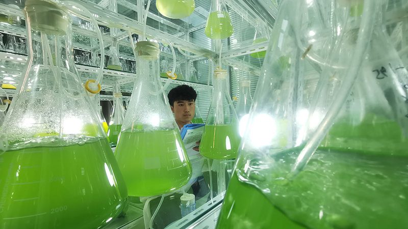 引物合成：揭秘制药行业的关键环节**